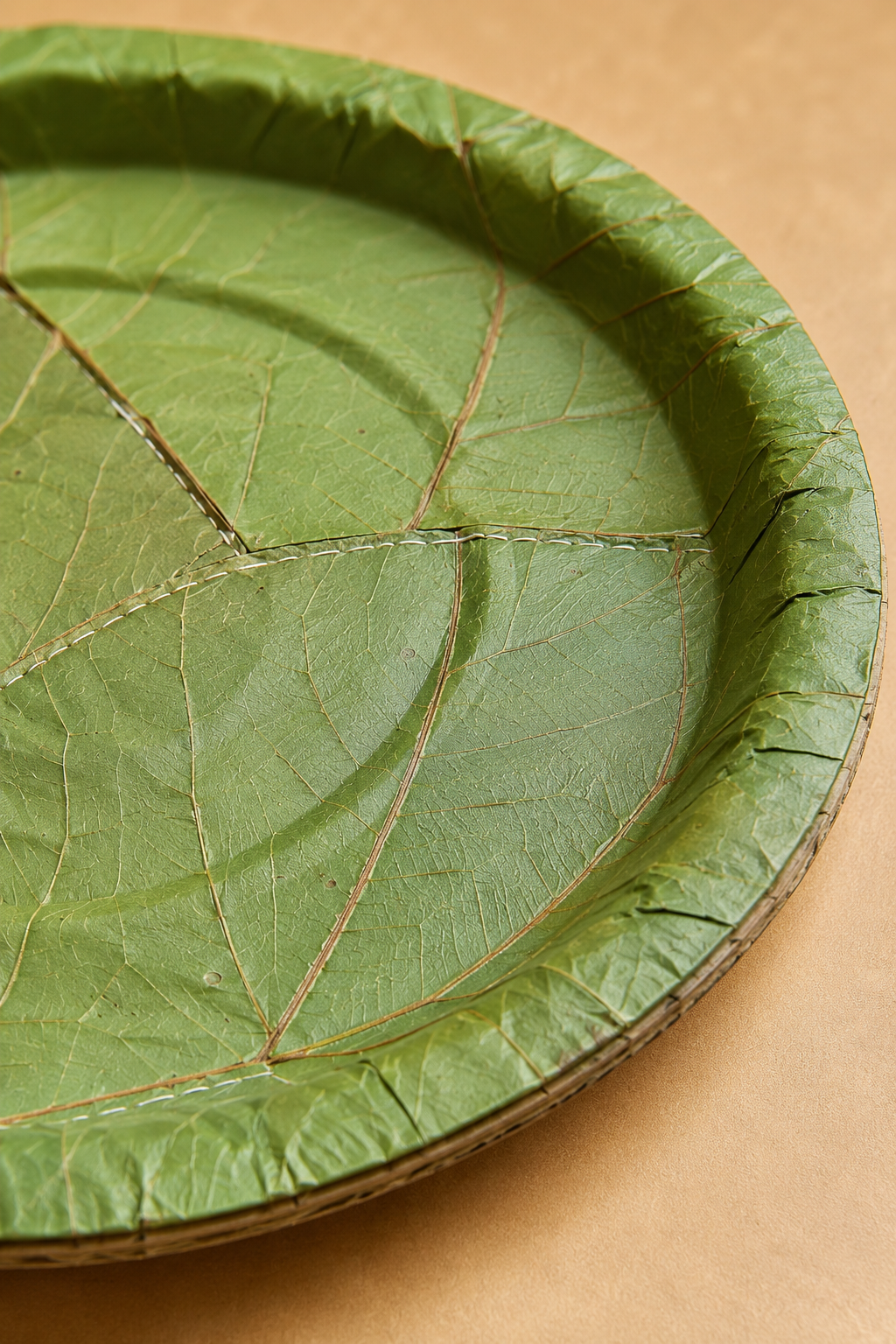9" Sal Leaf Plates - Natural Round Plates for Meals, Salads, Picnics & Catering