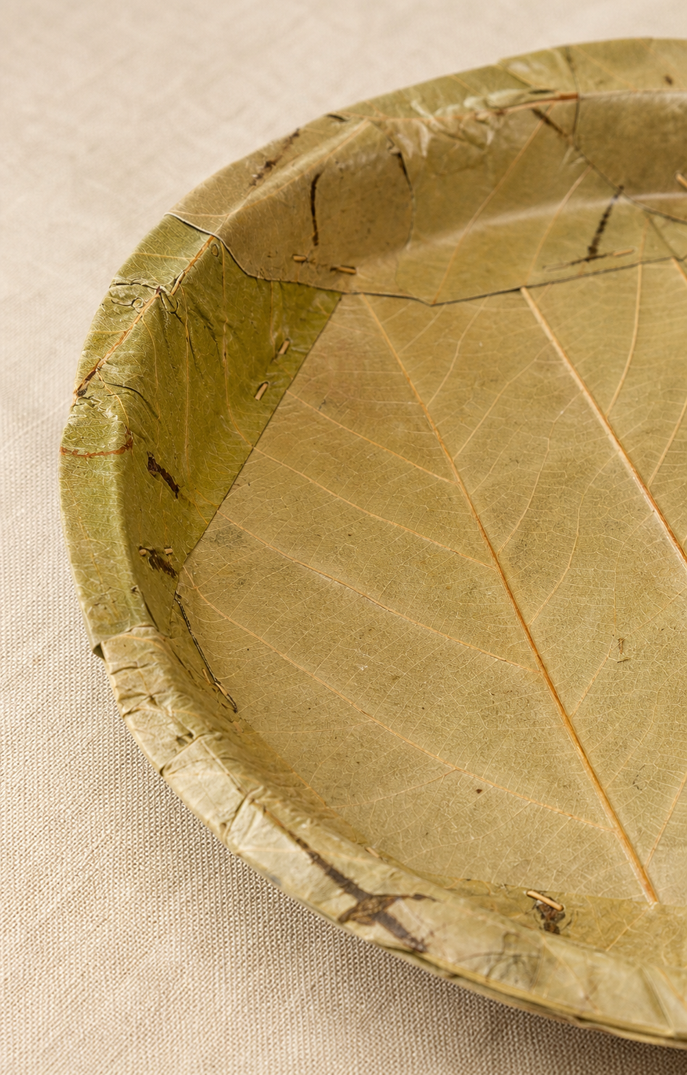 11" Sal Leaf Dinner Plates - Naturally Textured Leaf Plates for Gatherings, Picnics &amp; Catering