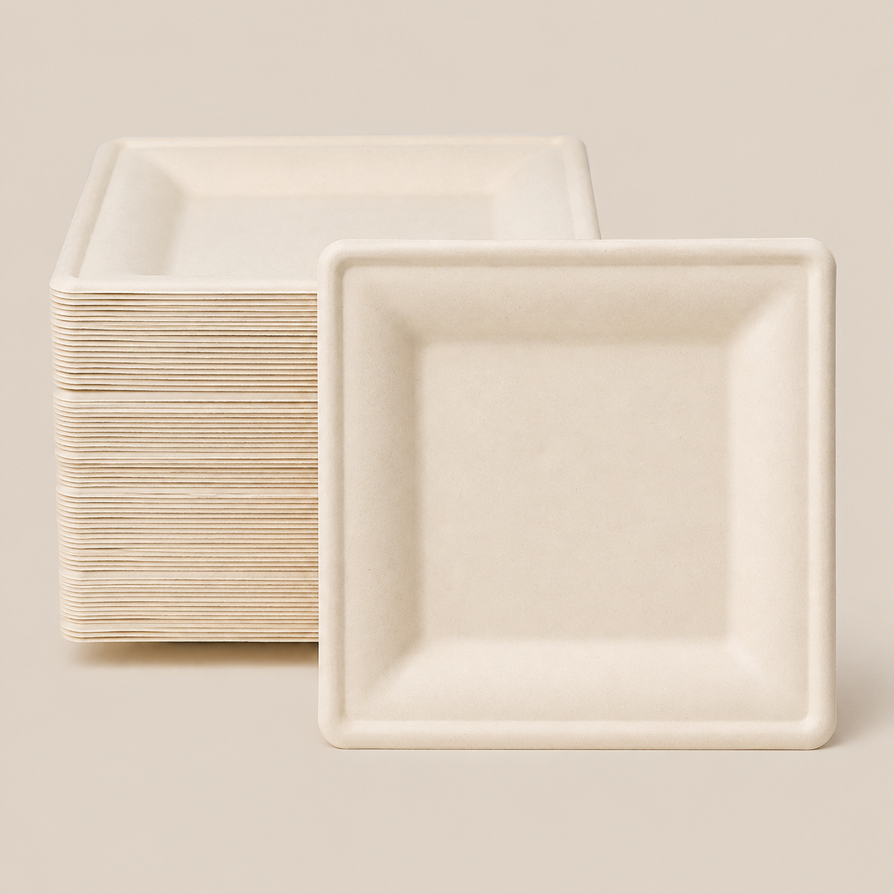 6 in / 10in Natural Sugarcane Square Plates - Appetizer &amp; Dinner Plates for Gatherings