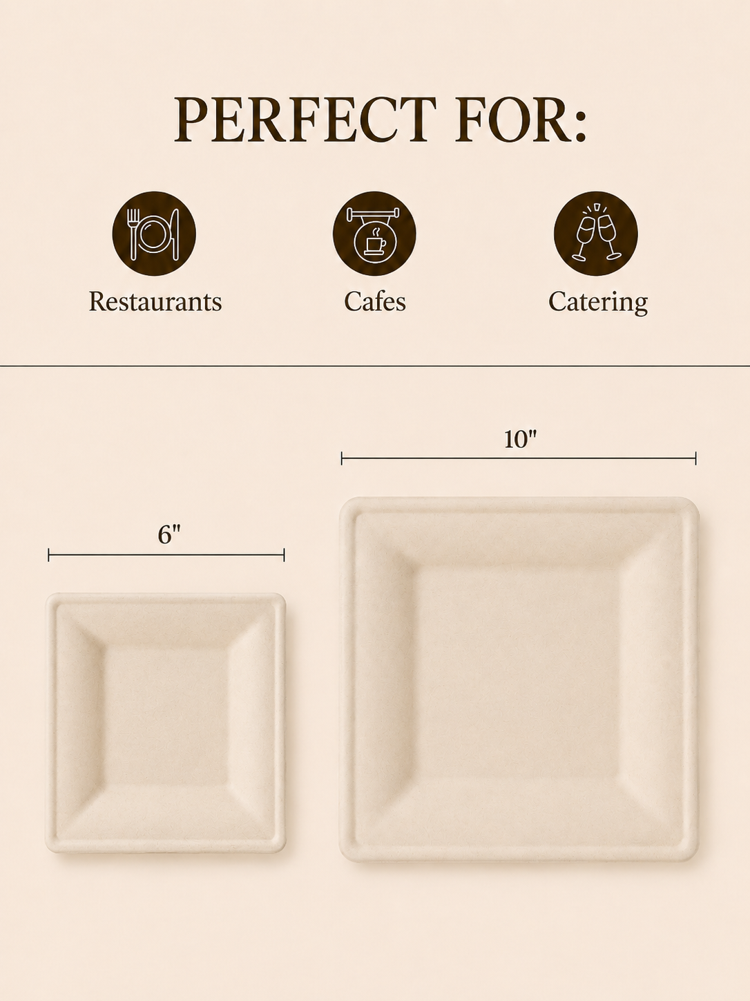 6 in / 10in Natural Sugarcane Square Plates - Appetizer &amp; Dinner Plates for Gatherings