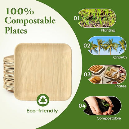 6 in / 10 in Square Palm Leaf Plates - Heavy - Duty Leak - Proof Dinnerware for Weddings &amp; Events - Leaf with life