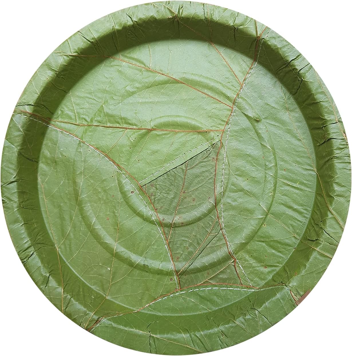 9" Sal Leaf Plates - Natural Round Plates for Meals, Salads, Picnics &amp; Catering