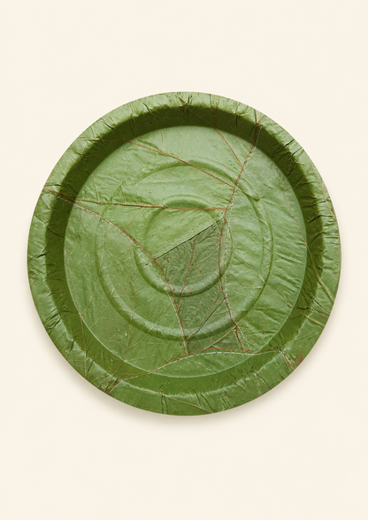 9" Sal Leaf Plates - Natural Round Plates for Meals, Salads, Picnics &amp; Catering