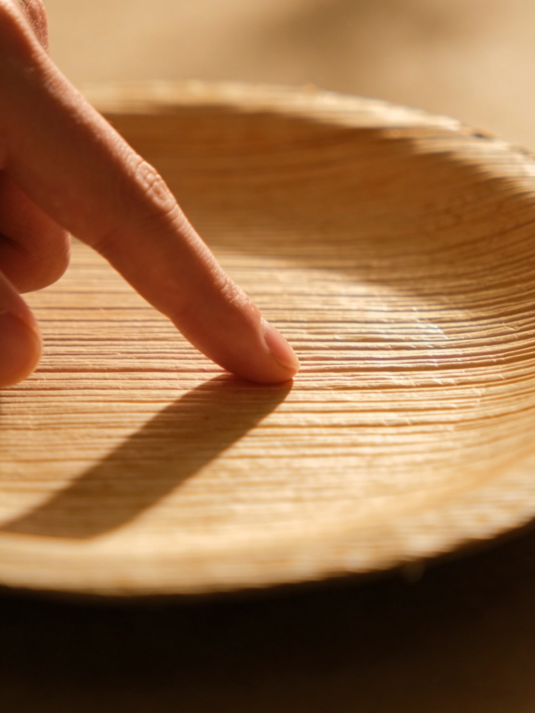<p>Achievement unlocked: Our plates officially certified as 100% Home Compostable, setting a new standard for eco-chic hosting.</p>
