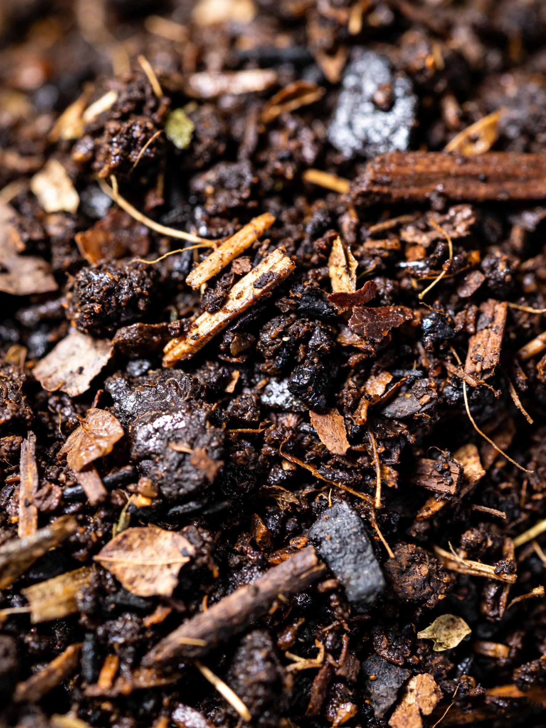 Leaf with Life home compostable palm leaf plate naturally breaking down into nutrient-rich soil in a backyard environment.